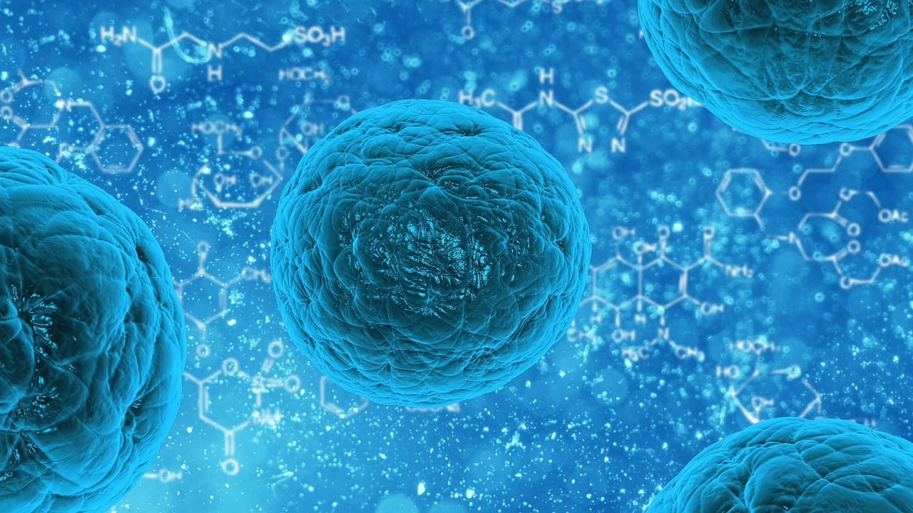 entdecken sie innovative lösungen im gesundheitswesen, die die qualität der patientenversorgung verbessern und eine optimale nutzung der ressourcen fördern. informieren sie sich über die neuesten trends und entwicklungen in der branche.