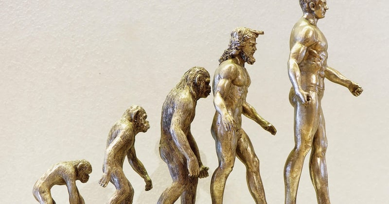 Wer war der erste Mensch auf der Welt? Die überraschende Antwort
