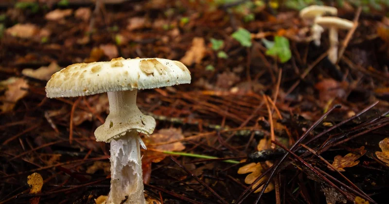 Caps waschen per Hand: Wenn Sie es richtig machen wollen